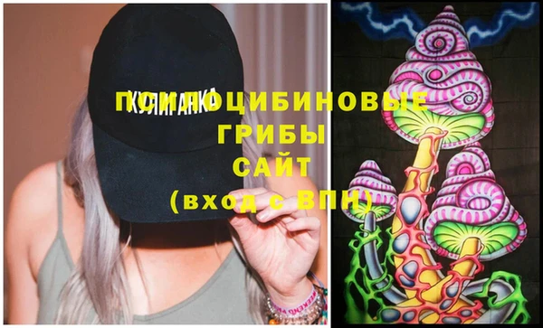 прущий лед Балахна
